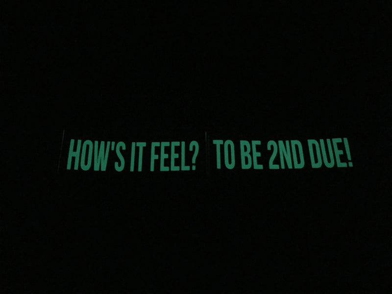 Load image into Gallery viewer, HOW'S IT FEEL? TO BE 2ND DUE! REFLECTIVE GLOW IN THE DARK HELMET DECAL
